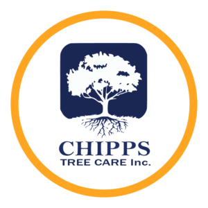 Chipps Tree Care